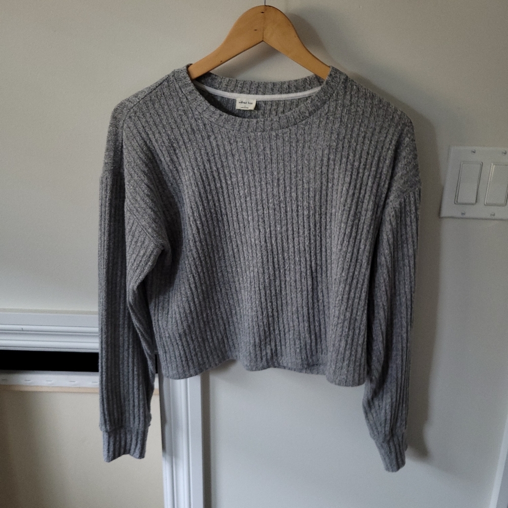 Aritzia Cropped Shirt
